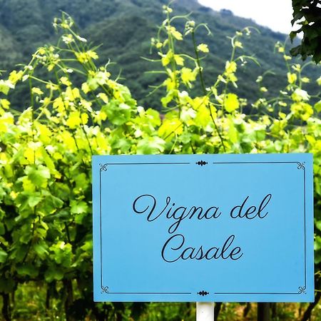 Agriturismo Guerritore Baronissi Zewnętrze zdjęcie