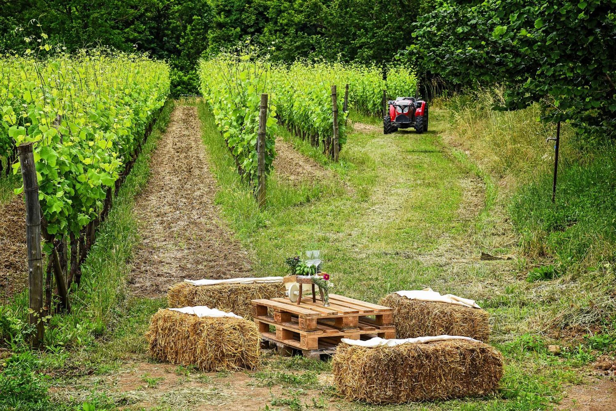 Agriturismo Guerritore Baronissi Zewnętrze zdjęcie